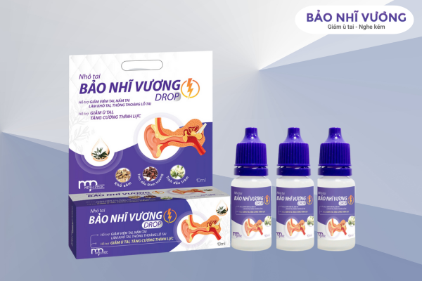 bộ đôi bảo nhĩ vương