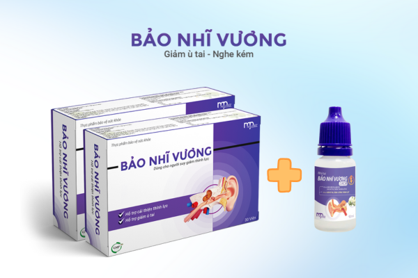 bộ đôi bảo nhĩ vương