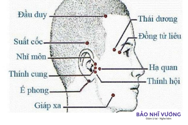 huyệt đạo trị ù tai